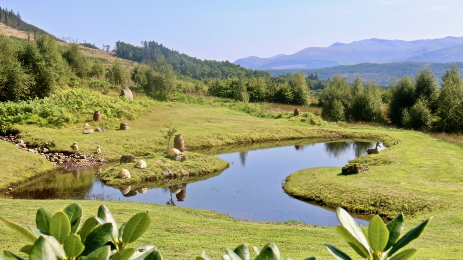 A tranquil landscape resembling a page from Frances Sketch Pad, with a small pond surrounded by lush green grass, trees, and distant mountains under a clear blue sky. Perfect for those who love sketching or simply appreciating nature's art supplies.