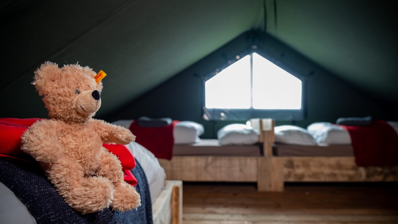 A stuffed bear rests on a bed in a cozy, dimly-lit room at Sloeberry Farm, where wooden floors and two large beds sit under a triangular window.