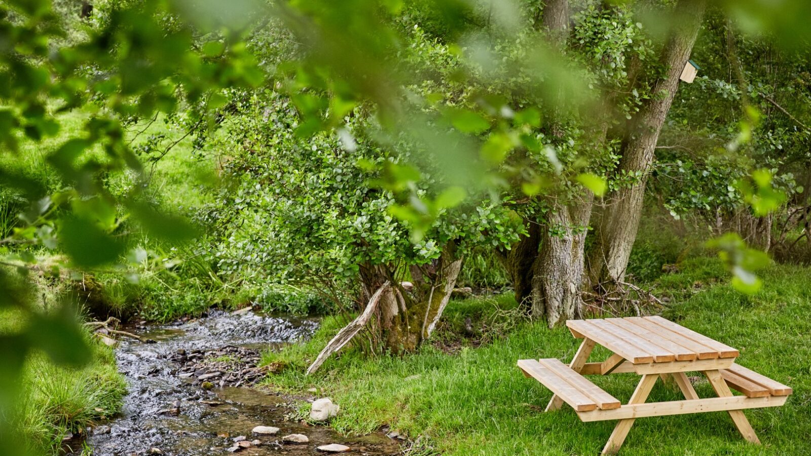 A serene outdoor scene at Burrows Dolassey features a wooden picnic table on grassy terrain beside a gentle, narrow stream. Surrounding the area are lush, green trees and foliage, creating a peaceful and inviting atmosphere.