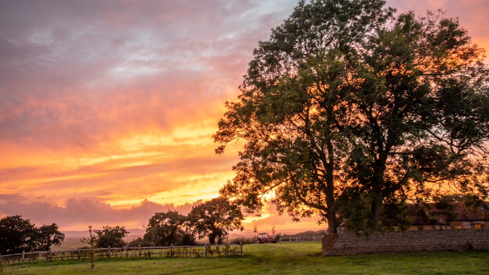 A serene countryside scene at sunset, featuring a large tree silhouetted against a vibrant sky painted with shades of orange, pink, and purple. In the background, other trees and a distant Barnhorn can be seen, perfect for glamping with lush green grass in the foreground.