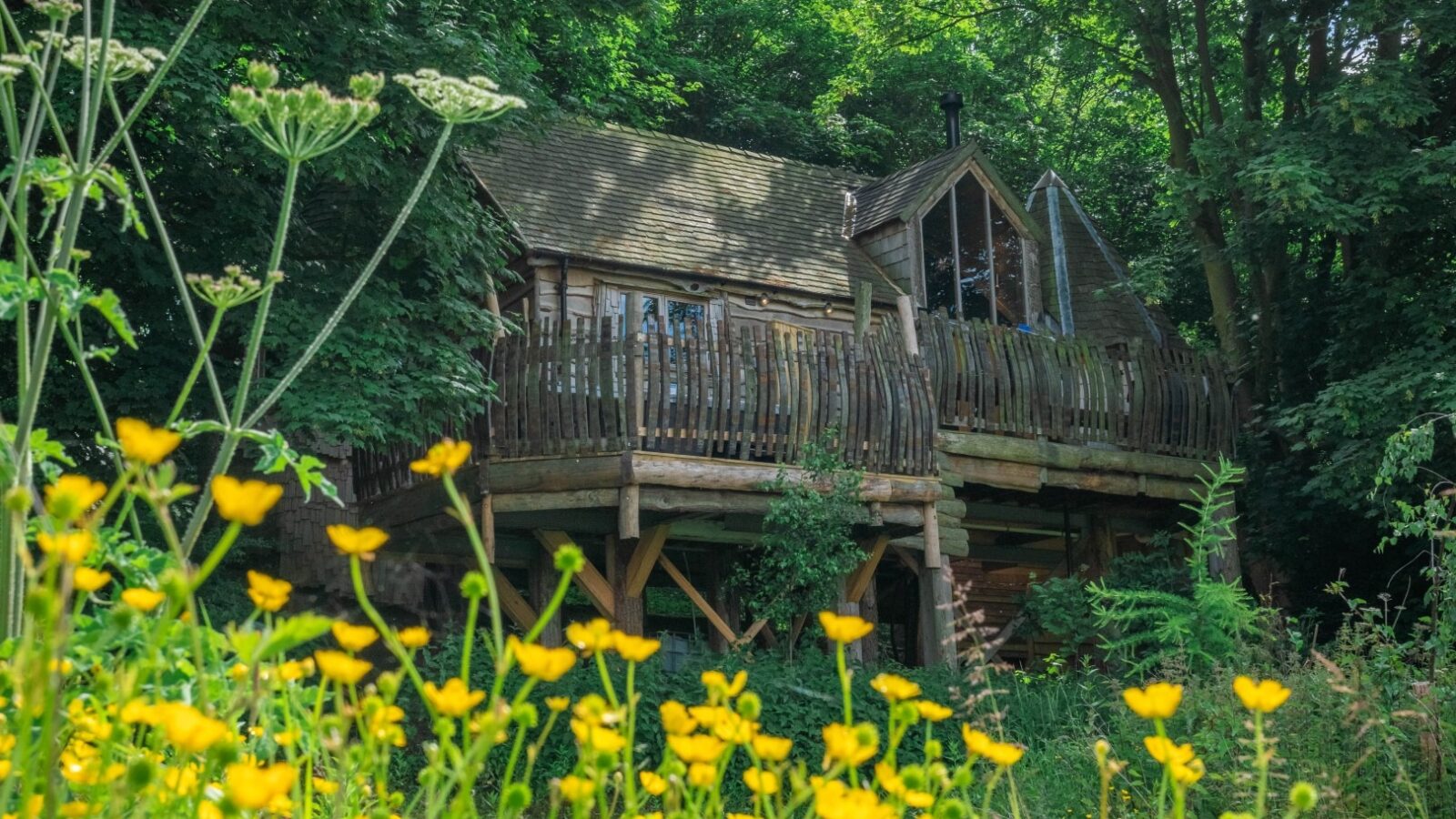 Nestled among lush green trees and foliage, Rufus's Roost Treehouse at Baxby Manor stands on stilts, featuring a charming balcony with a wooden railing and large windows. Yellow flowers bloom in the foreground, adding a touch of brightness to this serene setting.