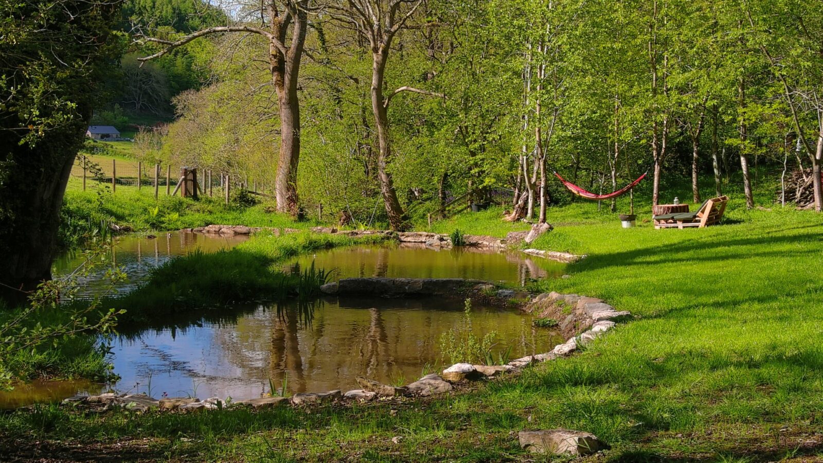 A serene small pond surrounded by lush grass and trees, with a hammock and wooden bench near the charming retreat of Caban Eric under clear skies.