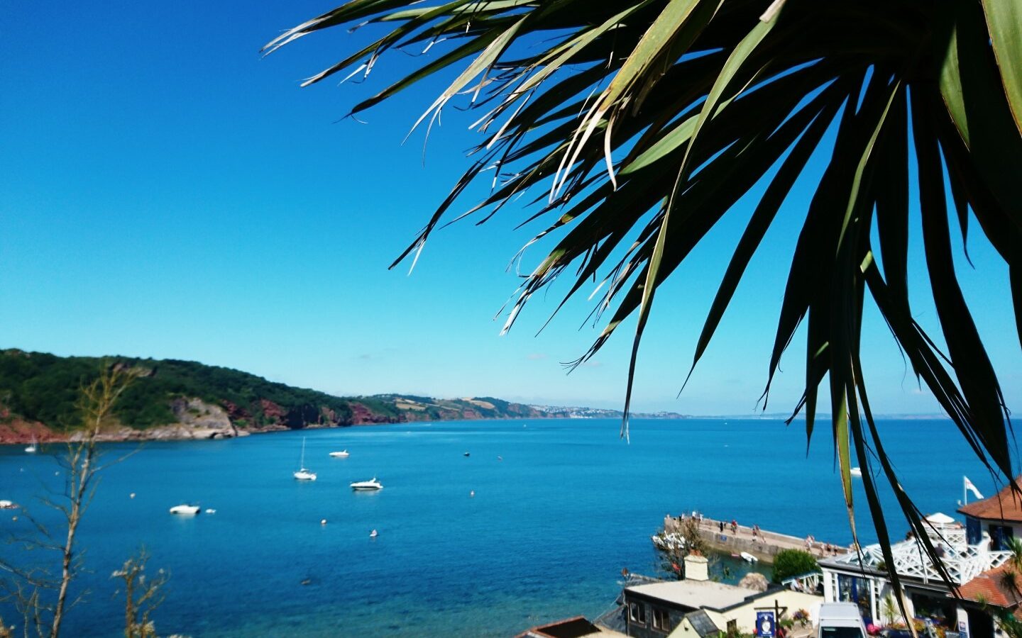 A stunning view of a coastal bay with calm blue water, small boats, and distant hills unfolds beneath the overhanging palm leaves in the foreground. Nearby, beach huts provide a charming touch to this serene coastal escape.