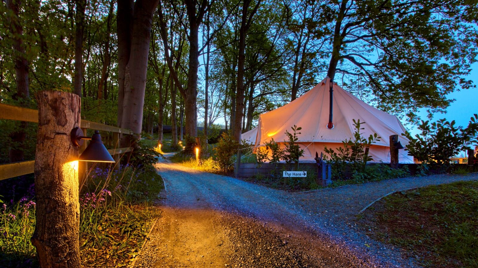 A cozy tent at Catgill Farm is illuminated in a forest at dusk, surrounded by trees and lit pathway lamps. The gravel path leads to the tent, creating a serene and inviting atmosphere, perfect for a farm stay in the picturesque Yorkshire Dales.