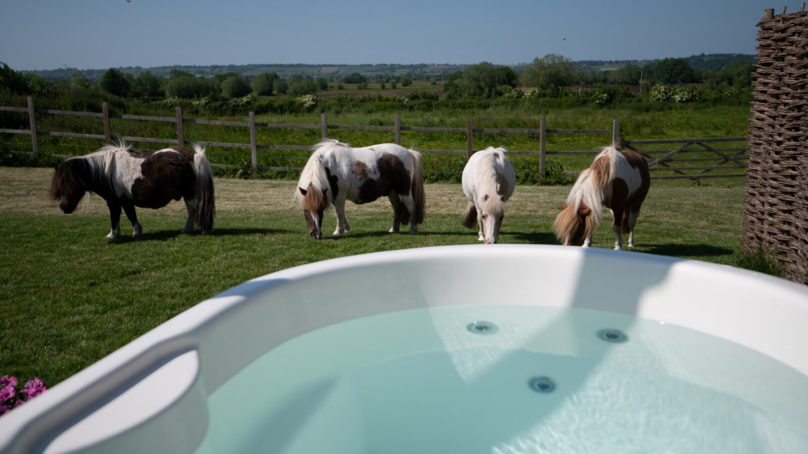 A group of four ponies graze in a grassy field near a wooden fence. A white hot tub filled with water sits in the foreground, while the background features a scenic landscape with green hills and a clear, blue sky. Nearby, quaint huts dot the rolling terrain, adding charm to the peaceful scene.