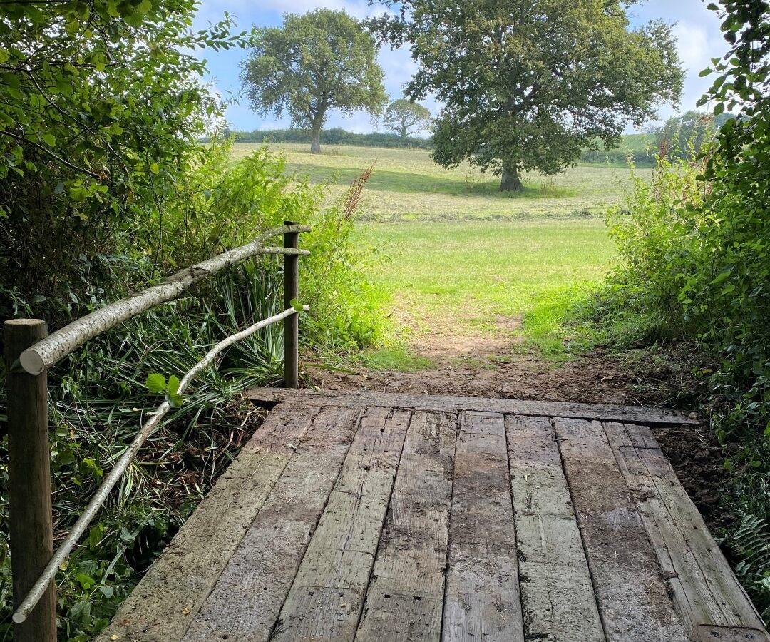 A wooden footbridge with a simple handrail crosses a small ditch or stream on Coppet Hill, leading to a grassy field with a distant tree. Surrounding the bridge are lush green bushes and trees, with a slightly cloudy blue sky overhead.