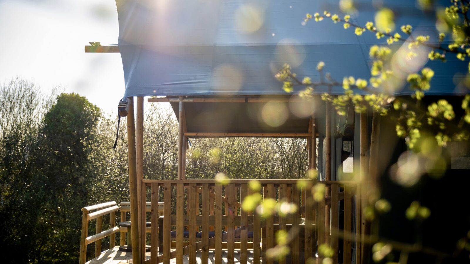 The sunlit wooden porch of a charming lodge with a blue roof is nestled at Sloeberry Farm, surrounded by trees and small green branches in the foreground.