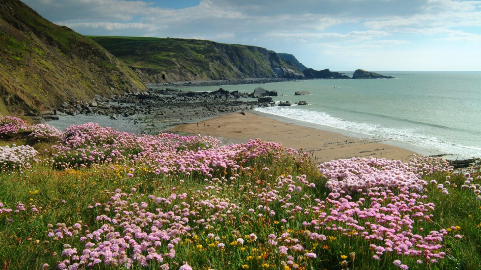 A coastal landscape unfolds with dramatic cliffs adorned by pink and yellow flowers in the foreground. Cozy cabins dot the sandy beach, where waves dance under a partly cloudy sky, completing this serene seaside scene.