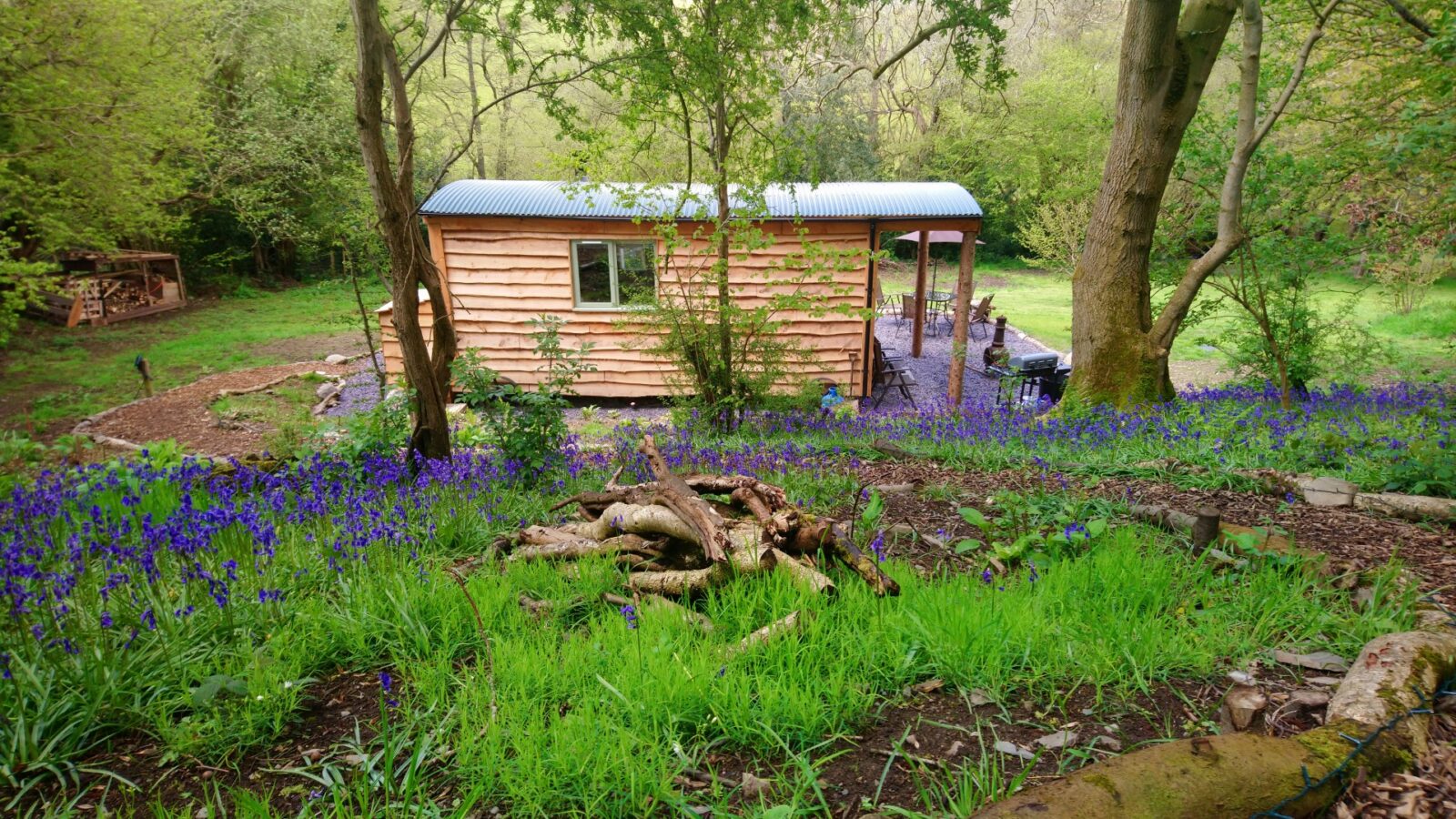 A small wooden cabin, known as Caban Eric, with a metal roof, is nestled in a lush forest, surrounded by green grass and blooming purple flowers.