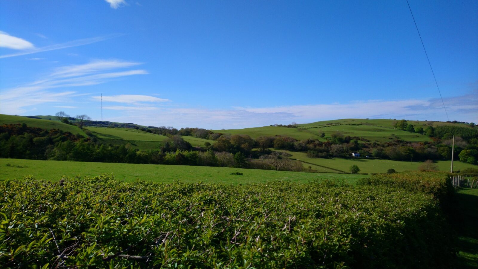 Rolling green hills under a clear blue sky, with trees and a hedge in the foreground on a sunny day, reminiscent of the serene landscapes near Caban Eric.