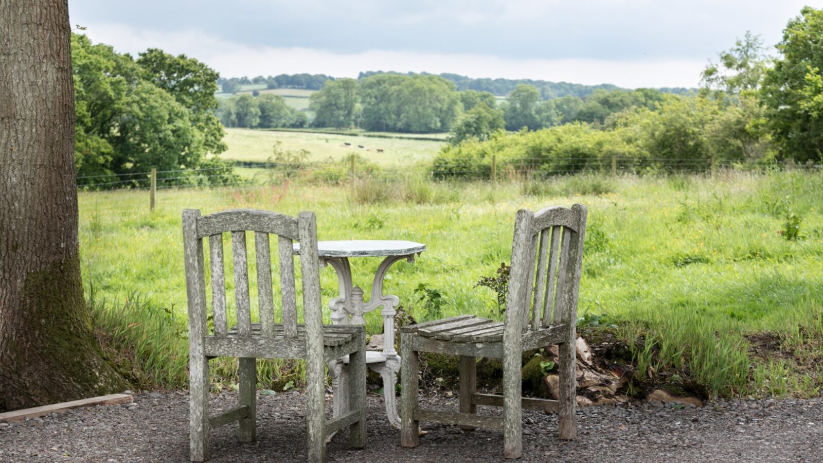 Two weathered wooden chairs and a small table sit under a tree at Dimpsey Glamping, overlooking a lush green countryside landscape.