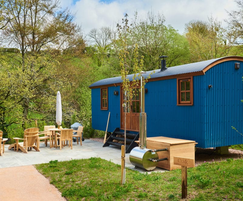 Nestled in a lush, green landscape, Dittisham Hideaway's cozy blue shepherd's hut offers a serene escape. With small wooden steps leading to an outdoor seating area, wooden furniture, and a nearby fire pit, this corner of the idyllic Shepherds Lodges is enveloped by young trees and dense foliage.