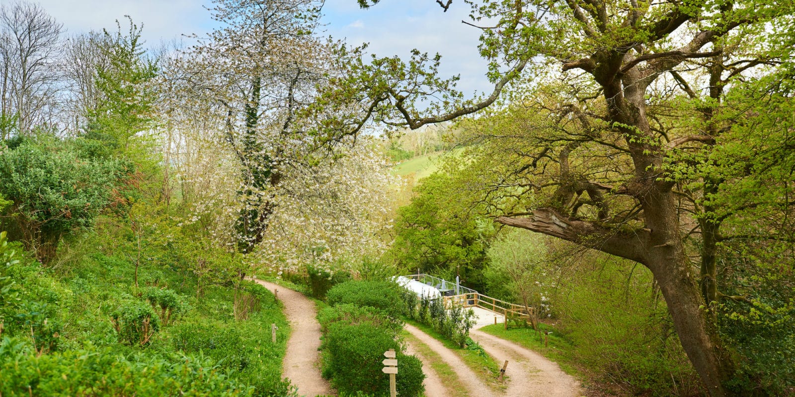 A scenic path winds through a lush green forest in springtime, reminiscent of an American adventure. Blooming trees and dense foliage surround the trail, with a signpost marking directions, while in the distance, an Airstream glimmers under the bright, clear sky near a gentle hill.