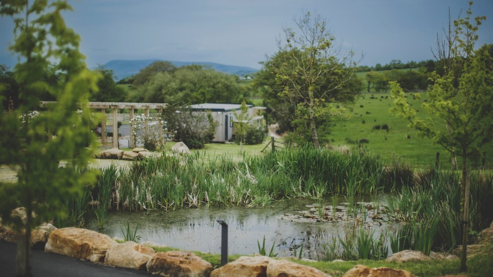 A serene pond surrounded by lush greenery, including tall grasses and trees, with a clear pathway and large rocks in the foreground. In the background, rolling hills and scattered trees extend into the distance under a partly cloudy sky—truly an Everything Retreat.