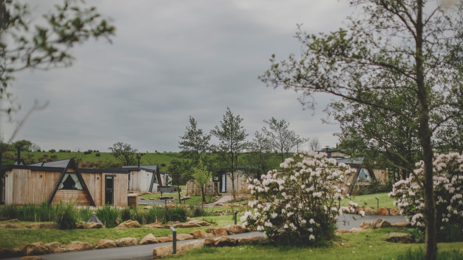 A serene outdoor retreat showcasing a cluster of modern wooden cabins with triangular roofs, nestled among greenery and blooming trees. A paved path winds through the lush landscape, with rocks and manicured grass enhancing the tranquil atmosphere.