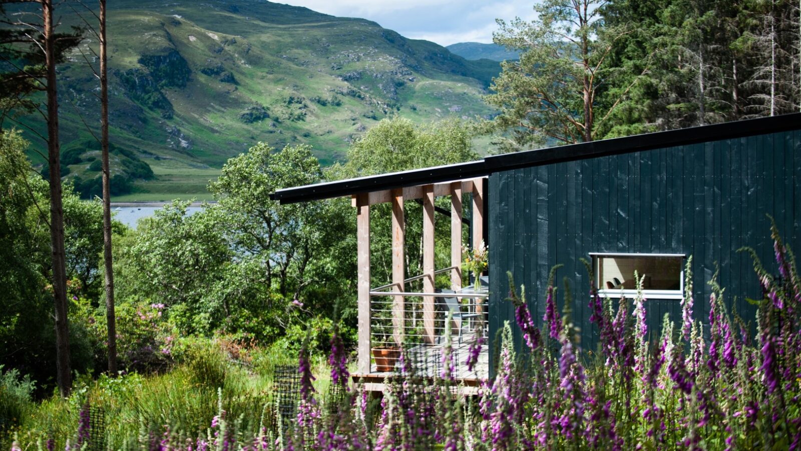 Amidst vibrant wildflowers and lush greenery, an ecotone cabin with a dark exterior and large window stands. Forested hills and a glimpse of a lake are visible in the background under a partly cloudy sky, seamlessly blending natural beauty with modern design.