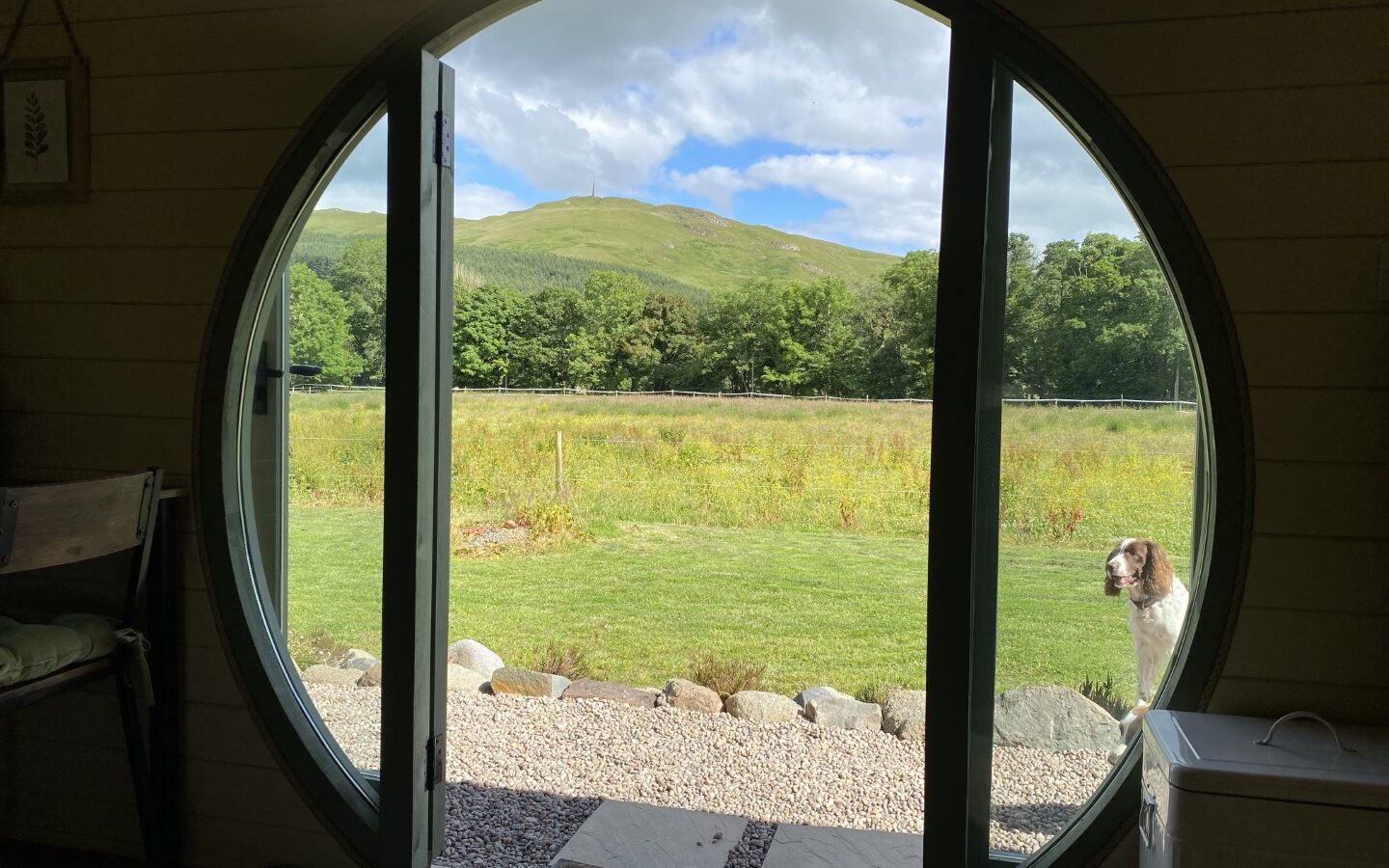 A round doorway opens to a scenic view of a lush green meadow with a tall, wooded hill in the background. At Freedom Fields Glamping, a dog stands at the edge of the doorway on a stone path, looking inside. The sky is partly cloudy and sunny, casting gentle light over this tranquil setting.