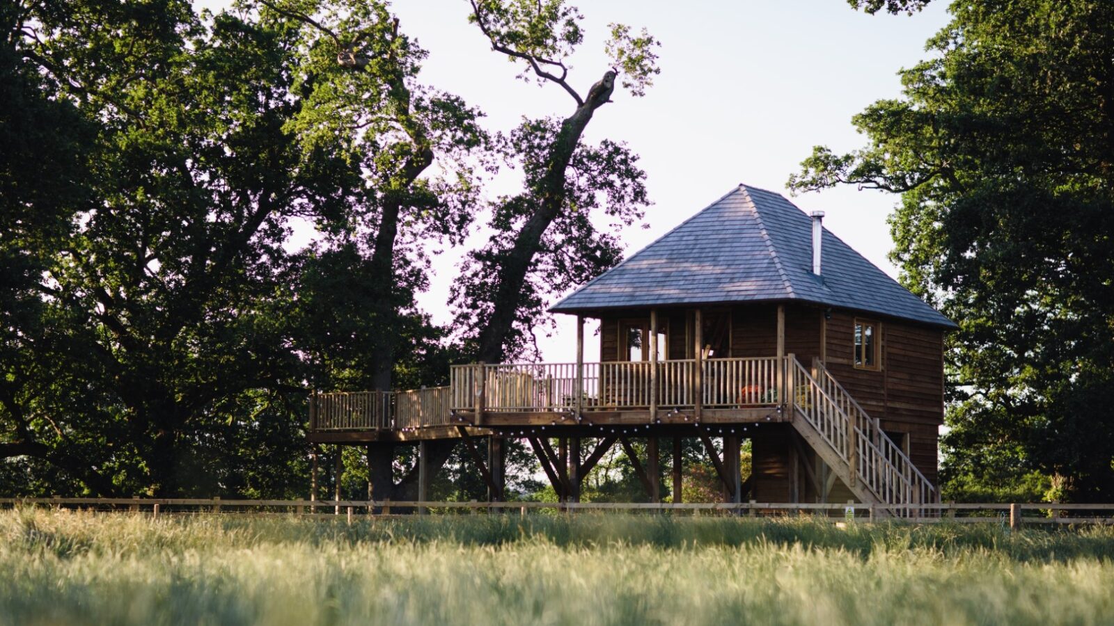 A wooden treehouse accommodation with a large deck and a sloped roof is nestled among leafy trees. Elevated off the ground and surrounded by a lush, grassy field, Netherby Treehouse offers a serene and inviting atmosphere set against a clear sky.