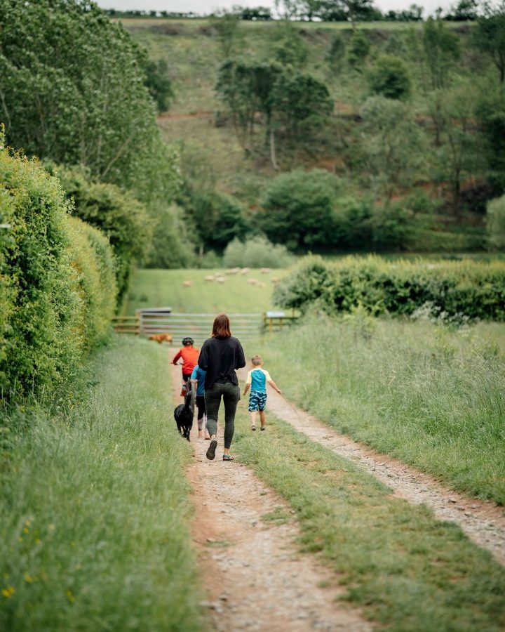 A person strolls down a rural path at Nature's Nest with three children and a black dog, embraced by lush green fields and trees. Sheep graze in the distance under the cloudy sky, capturing the serene essence of nature.