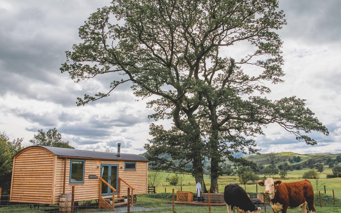 In the serene Vale, a small wooden cabin and two cows rest peacefully in a grassy field, framed by a majestic large tree and a cloudy sky in the background.