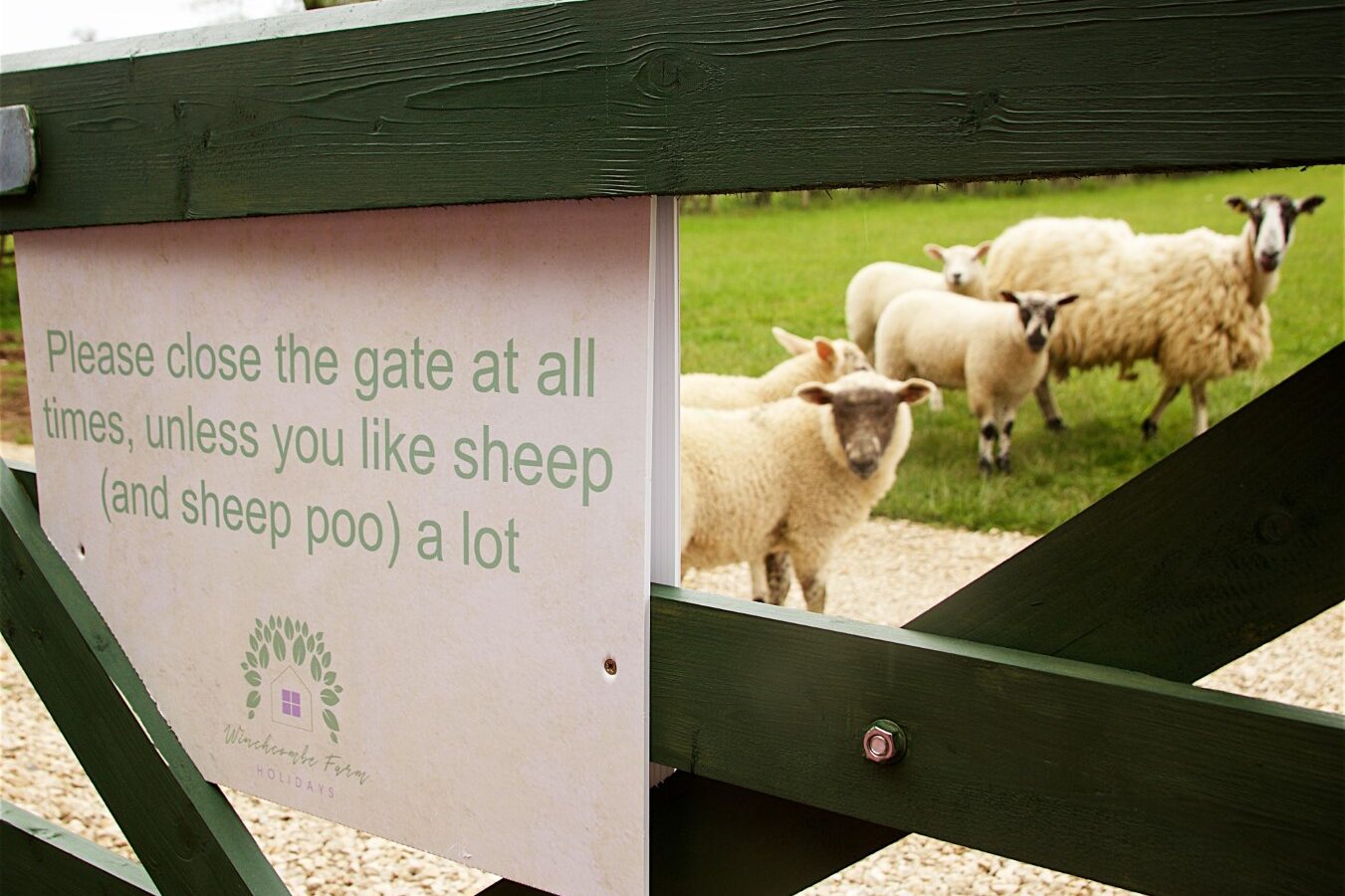 A sign on a gate nestled near the trees reads, 