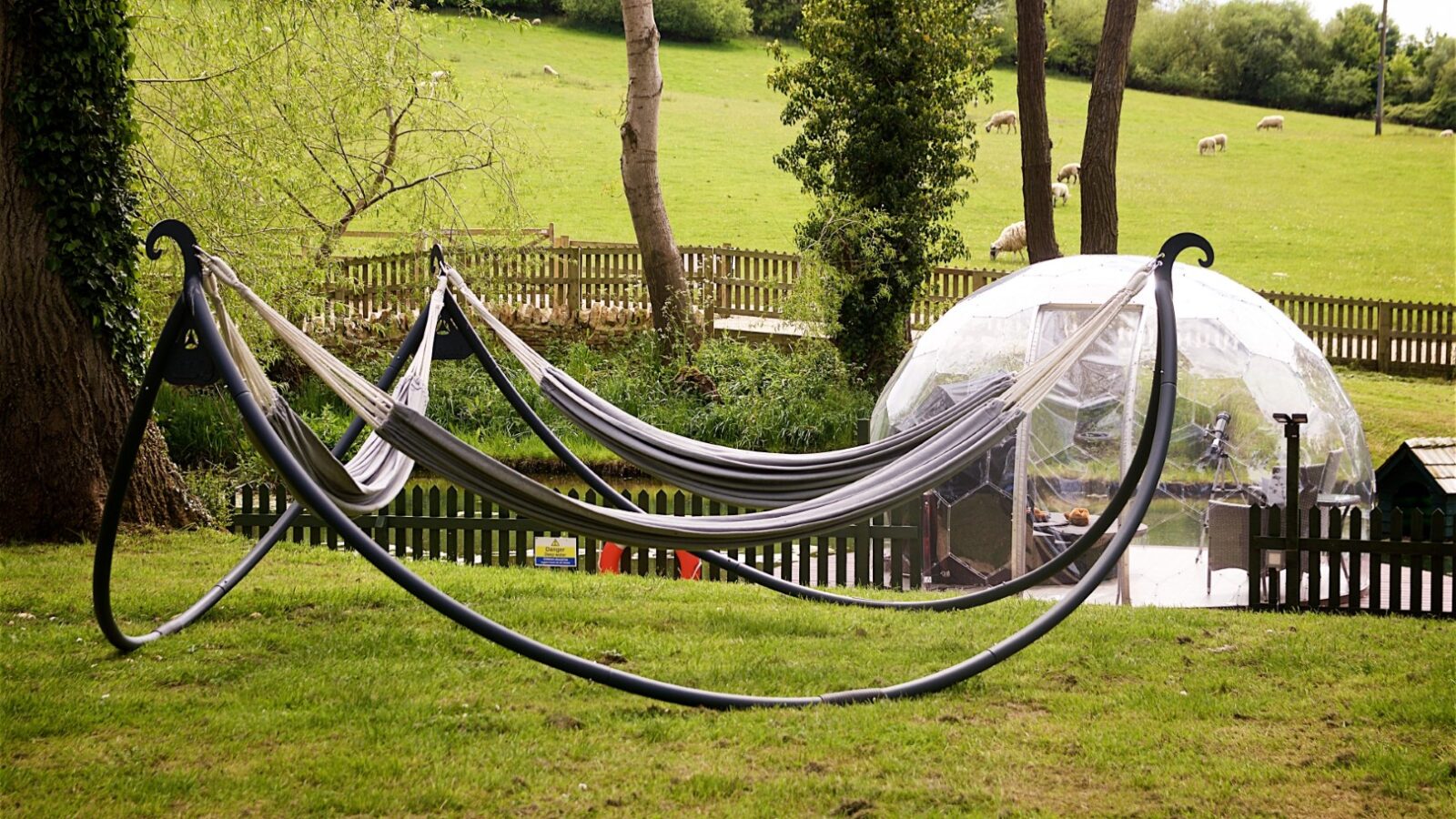 Two empty hammocks hang in a grassy yard near a transparent dome, surrounded by Jess' Tree Bach: tall trees and a wooden fence, creating a serene retreat.