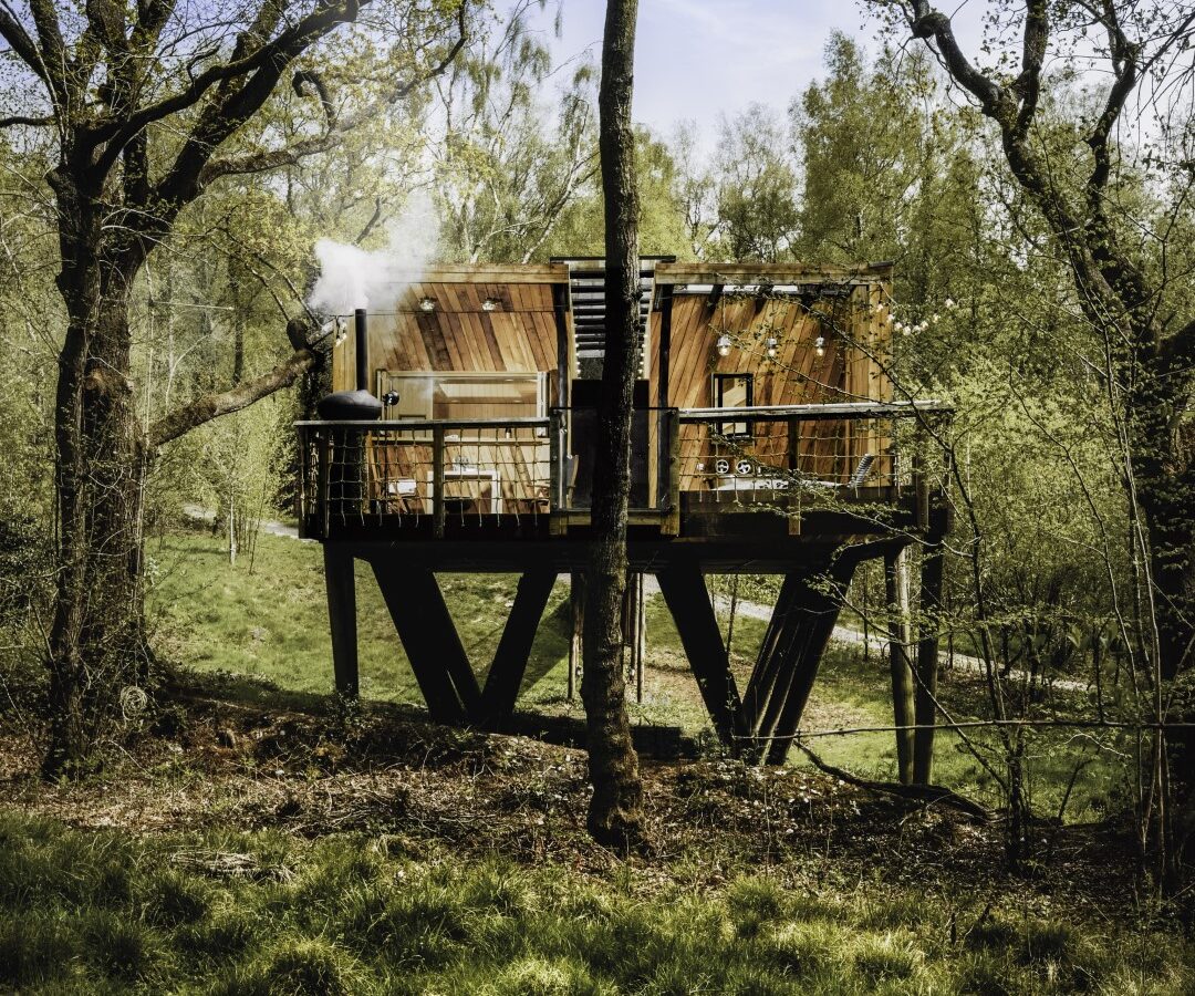 The Dazzle Treehouse stands proudly on stilts, with a person enjoying the view from the deck. It's nestled amid lush greenery and towering trees under a clear blue sky.