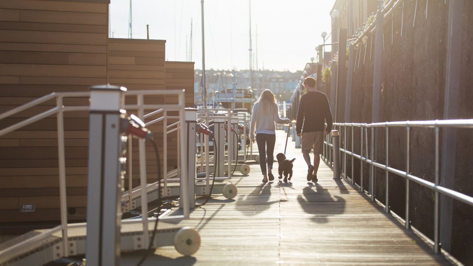 A couple walks their dog on a sunny dock, with the charming Ty Milford floatels and towering buildings in the background.