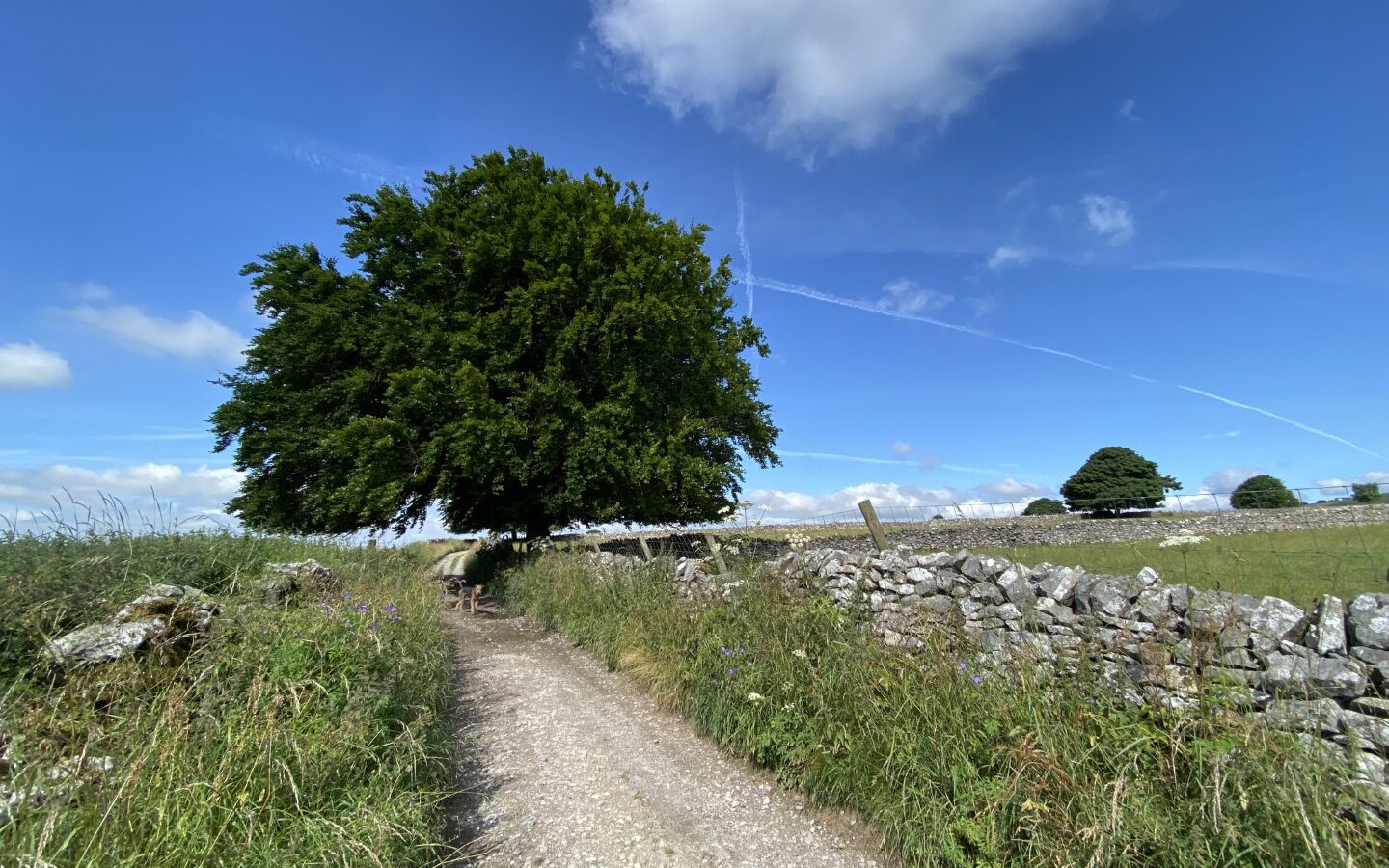 The Hut Eyam