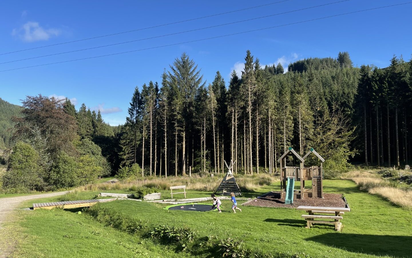 Children laugh and play on swings and a slide in a quaint playground surrounded by the lush greenery of Trallwm. Nestled near charming cottages, the scene is framed by tall trees that create a serene forest backdrop under the vibrant blue sky.