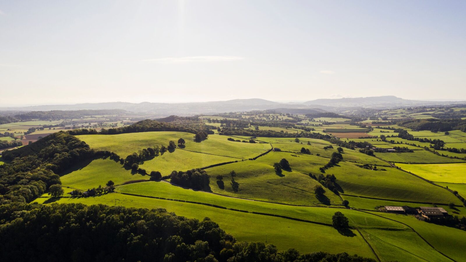 Aerial view of a lush green landscape with rolling hills, scattered trees, and fields under a clear sky, revealing one of Pontypinna's hidden hideaways.