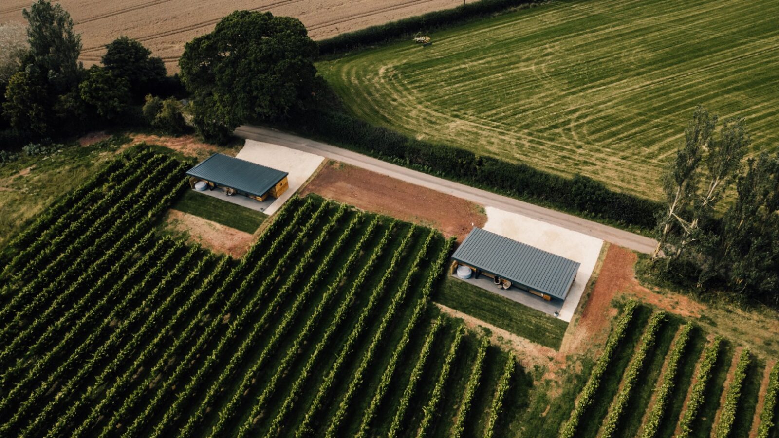 Aerial view of a vineyard with rows of grapevines, two small structures resembling luxury lodges, and adjacent fields stretching into the background.