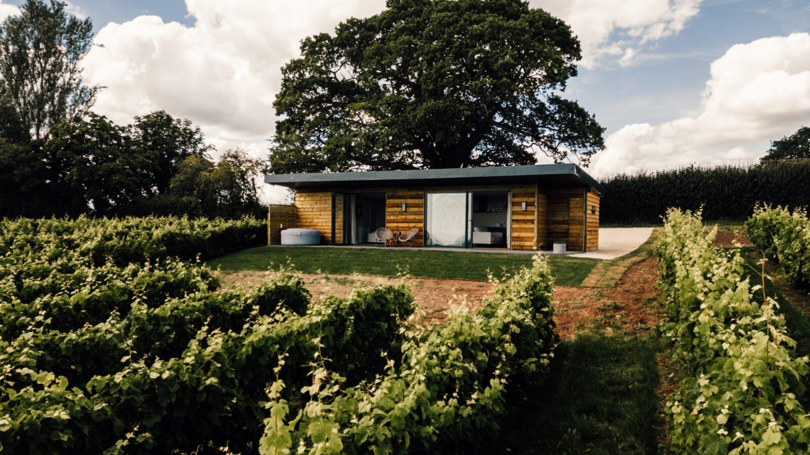 A modern wooden house with large windows is nestled among vines, surrounded by a vineyard and a big tree under a partly cloudy sky.