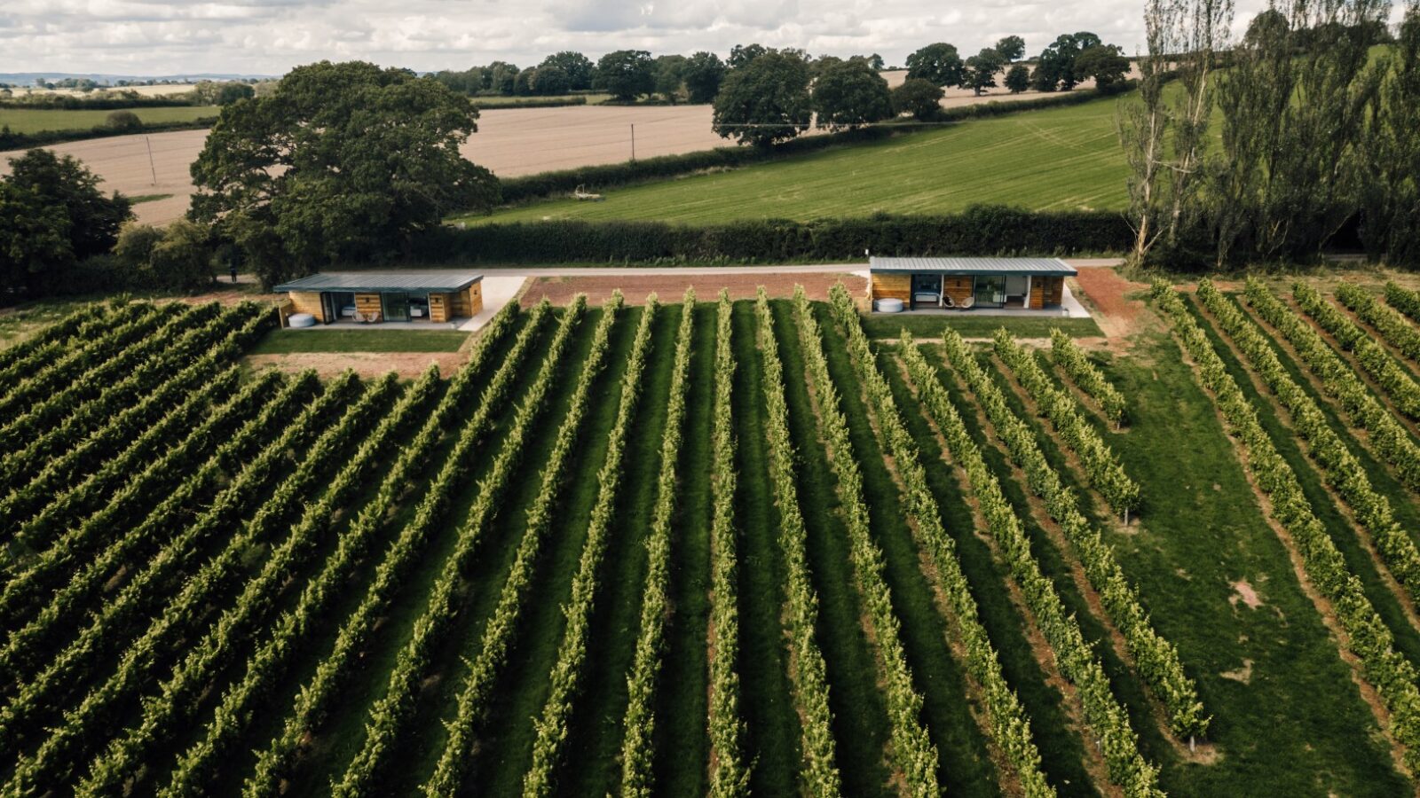 Aerial view of Stars and Vines vineyard with luxury lodges nestled among fields and trees under a cloudy sky.