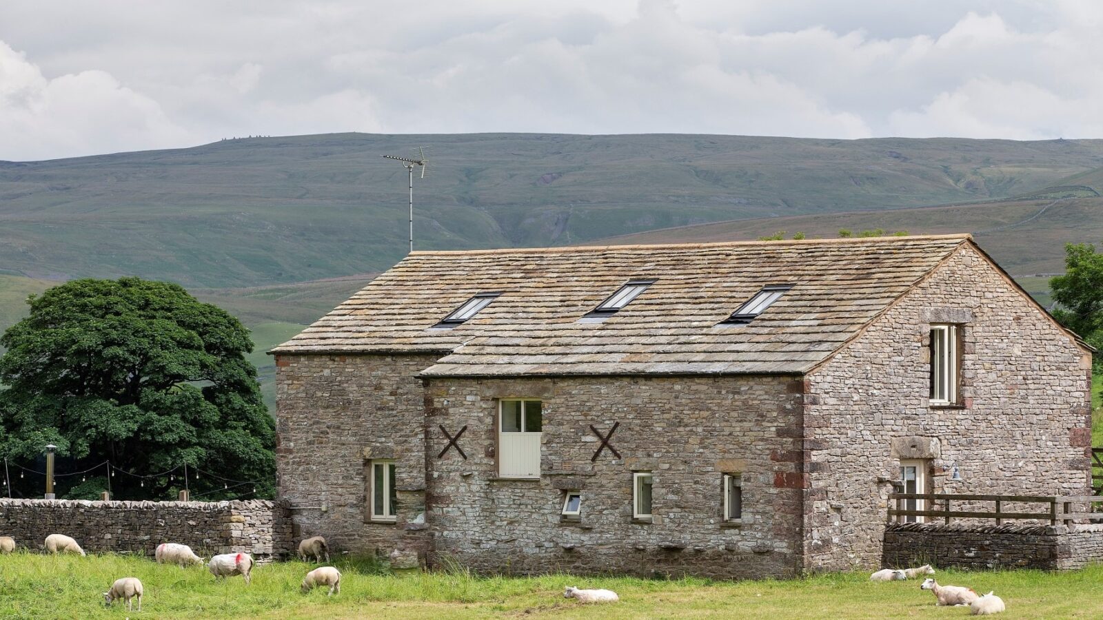 A stone barn with a slanted roof sits in a lush green field surrounded by hills. Sheep are grazing in the foreground, including playful lambs that make it perfect for a Lambing Live Holiday. There's a tree to the left, and the sky is overcast with light clouds, creating an idyllic Cottage Stay setting.