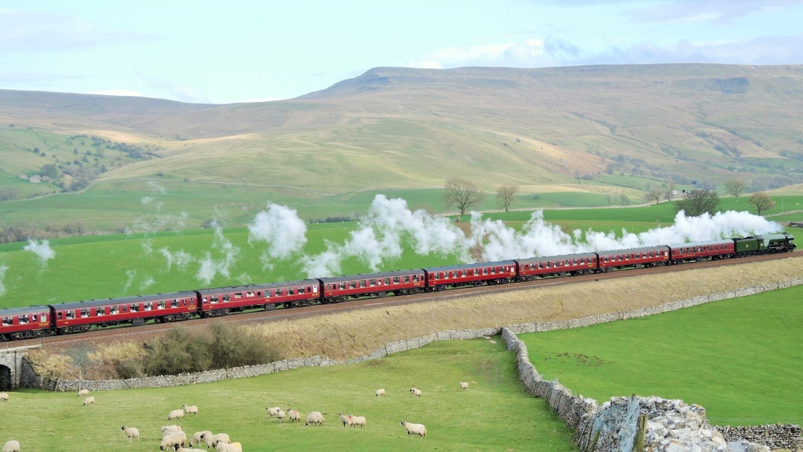 A steam locomotive pulls a long line of red carriages through a lush green countryside. White steam billows from the train as it travels past grazing sheep and stone fences, perfect for a rural stay. Rolling hills under a blue sky dotted with clouds form the backdrop, ideal for a holiday cottage getaway.
