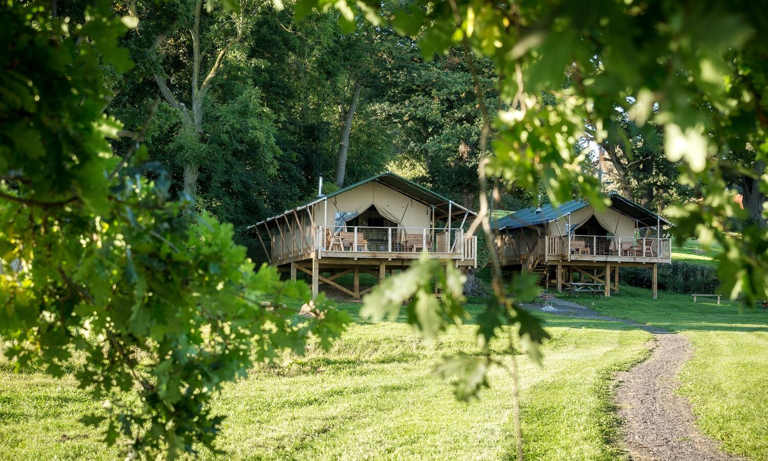 Nestled in the serene surroundings of Sweeney Farm, two elevated safari tents offer a glamping experience like no other. A dirt path leads to the tents, whose wooden porches overlook a lush tapestry of trees, with branches and leaves framing this tranquil escape.