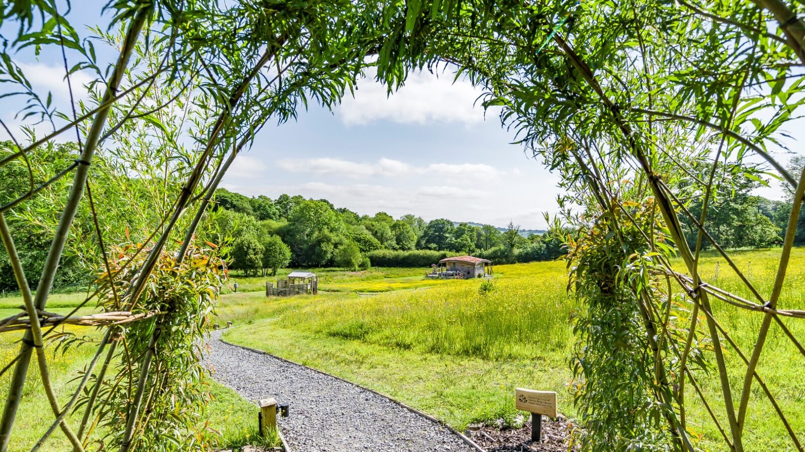 A scenic view through a leafy archway reveals a winding gravel path leading to a colorful meadow. The meadow is bordered by dense, lush trees, and a charming cabin from Erwain Escapes is visible in the distance under a partly cloudy sky.