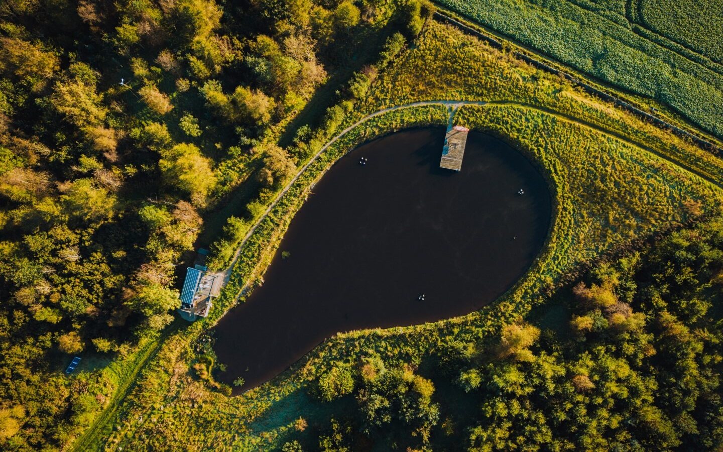 Aerial view of a small, heart-shaped pond surrounded by dense green forest. There is a tiny home and a small dock on the pond's edge, as well as a wooden platform on the water. Various shades of green dominate the landscape, highlighting the natural scenery and the borders of this serene haven.