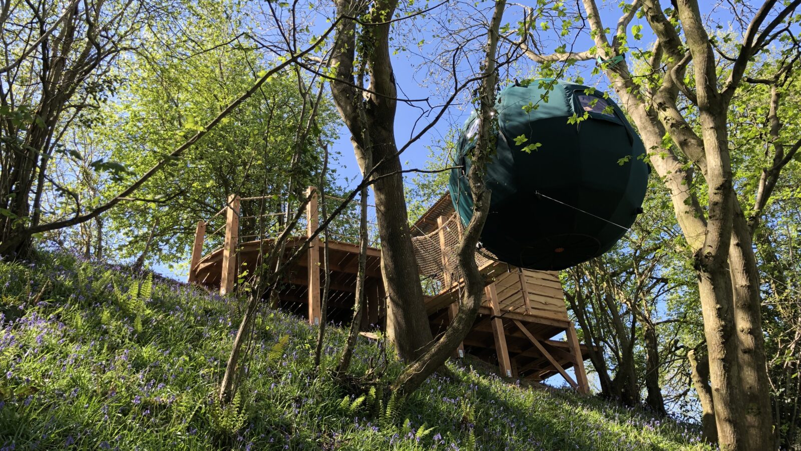 A wooden treehouse platform with a spherical green tent suspended from the trees stands amidst a lush green forest on Pennard Hill. Sunlight filters through the leaves, casting dappled light on the scene. Grass and blue wildflowers cover the forest floor below, enhancing this serene Tree Tents setup.