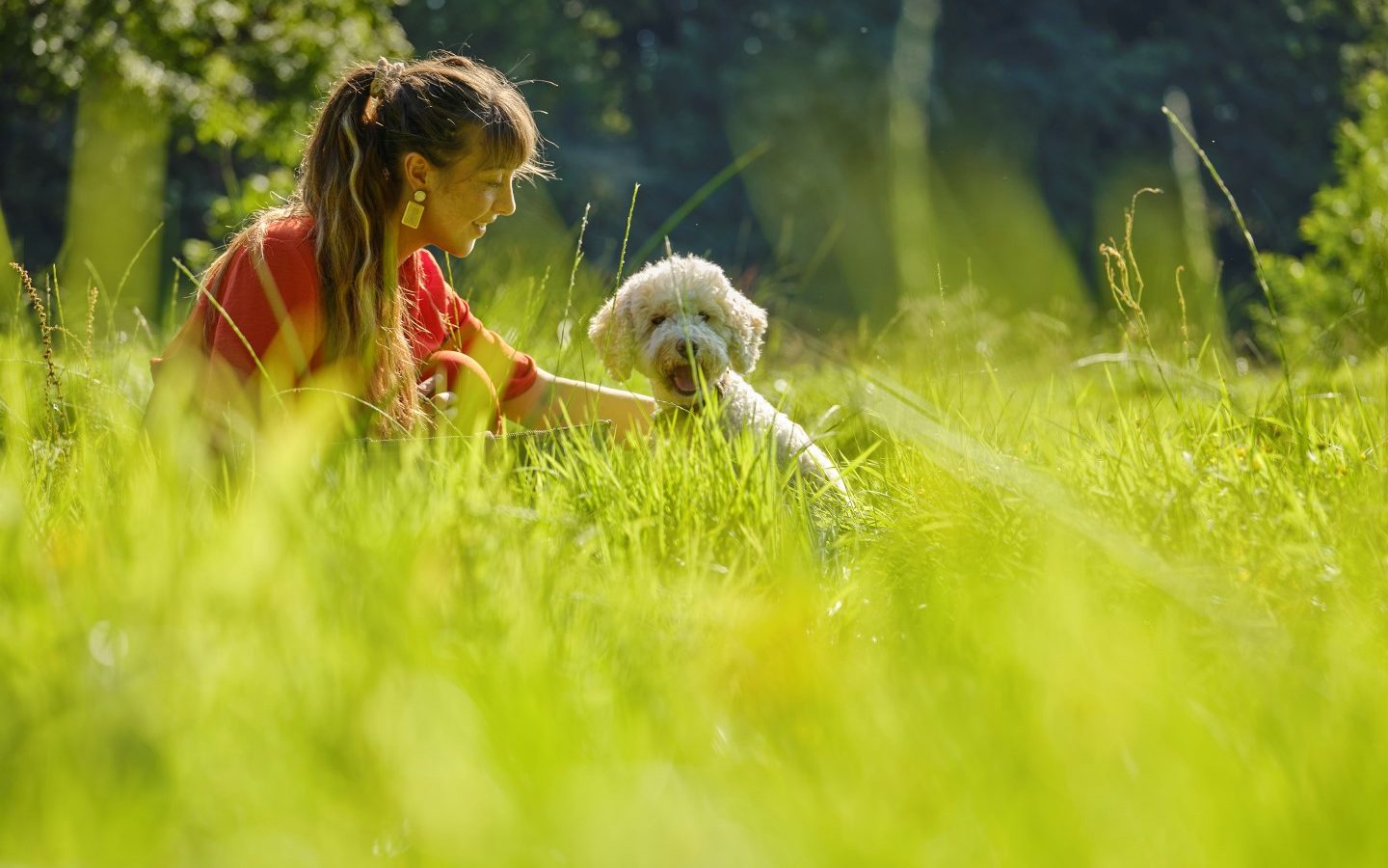 A person with long hair sits in the grass on a sunny day in Devon, smiling at a fluffy white dog. They are surrounded by lush greenery, with trees visible in the background near an old cowshed. The dog appears playful and happy.