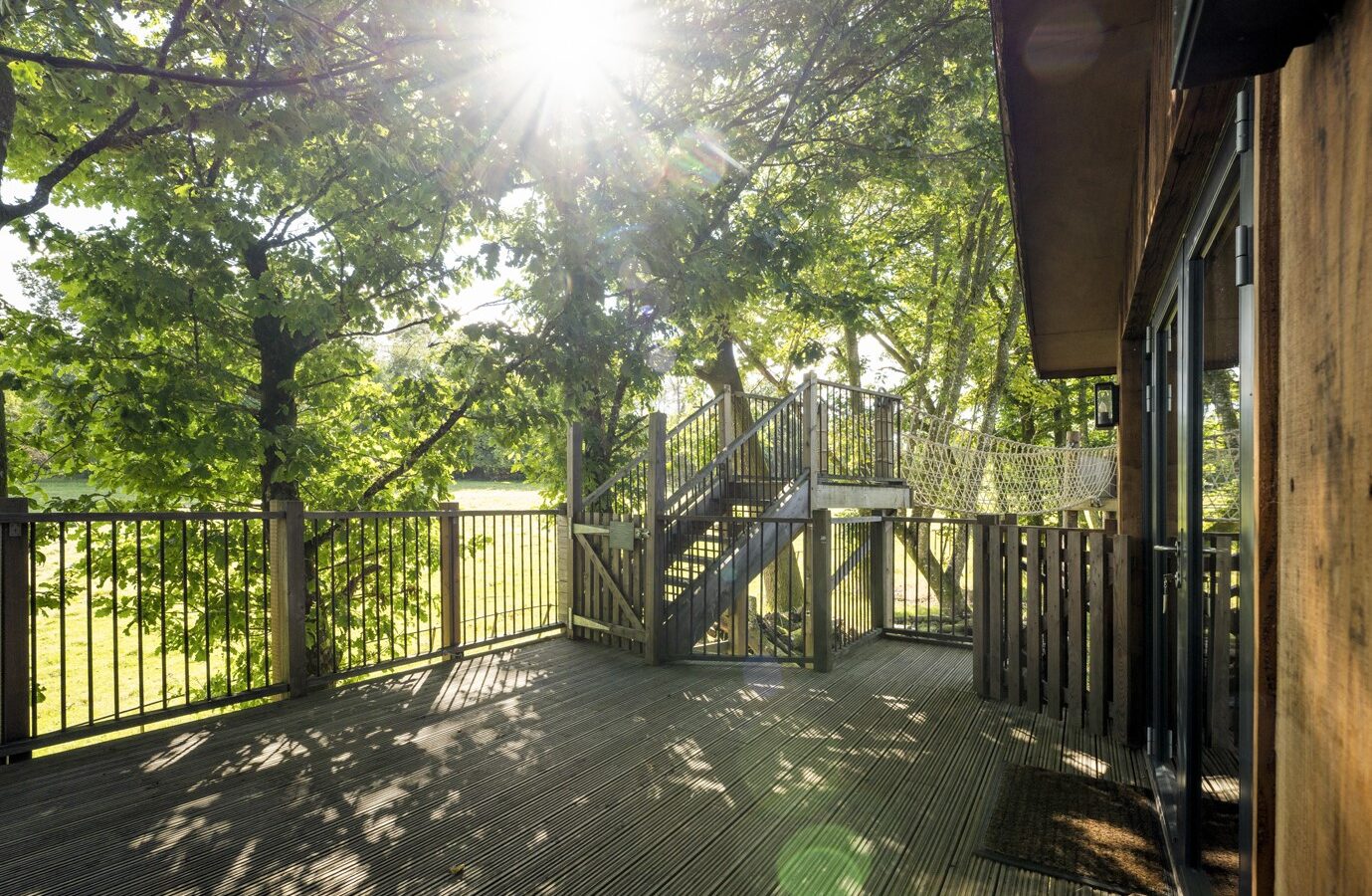 Sunlight filters through green trees, illuminating a wooden deck with stairs like a serene treehouse. The scene is peaceful, with lush foliage creating a natural canopy. A sliding glass door is partially visible, connecting the deck to the building while a flycatcher flits nearby.