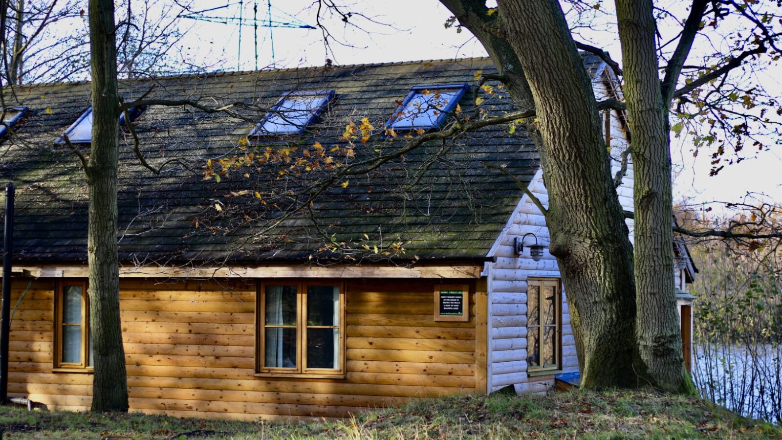 A wooden cabin with a shingle roof and skylights, surrounded by trees and nestled near a serene body of water, offers the perfect hidden getaway. Featured in Secret Escapes, this retreat embodies the rustic charm that Browning Bros are renowned for.