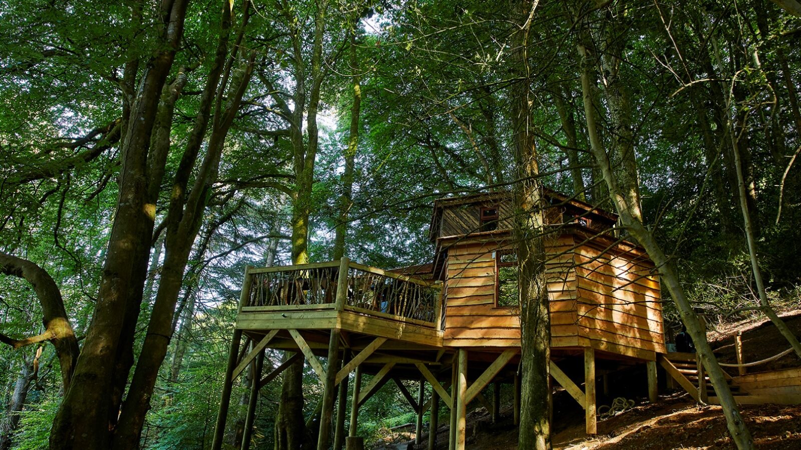 Nestled among lush green trees, Ravendere Treehouse is a charming wooden retreat built on stilts. This luxury treehouse rental features a small deck with a railing, where sunlight filters through the dense forest canopy, casting dappled light on the serene structure.