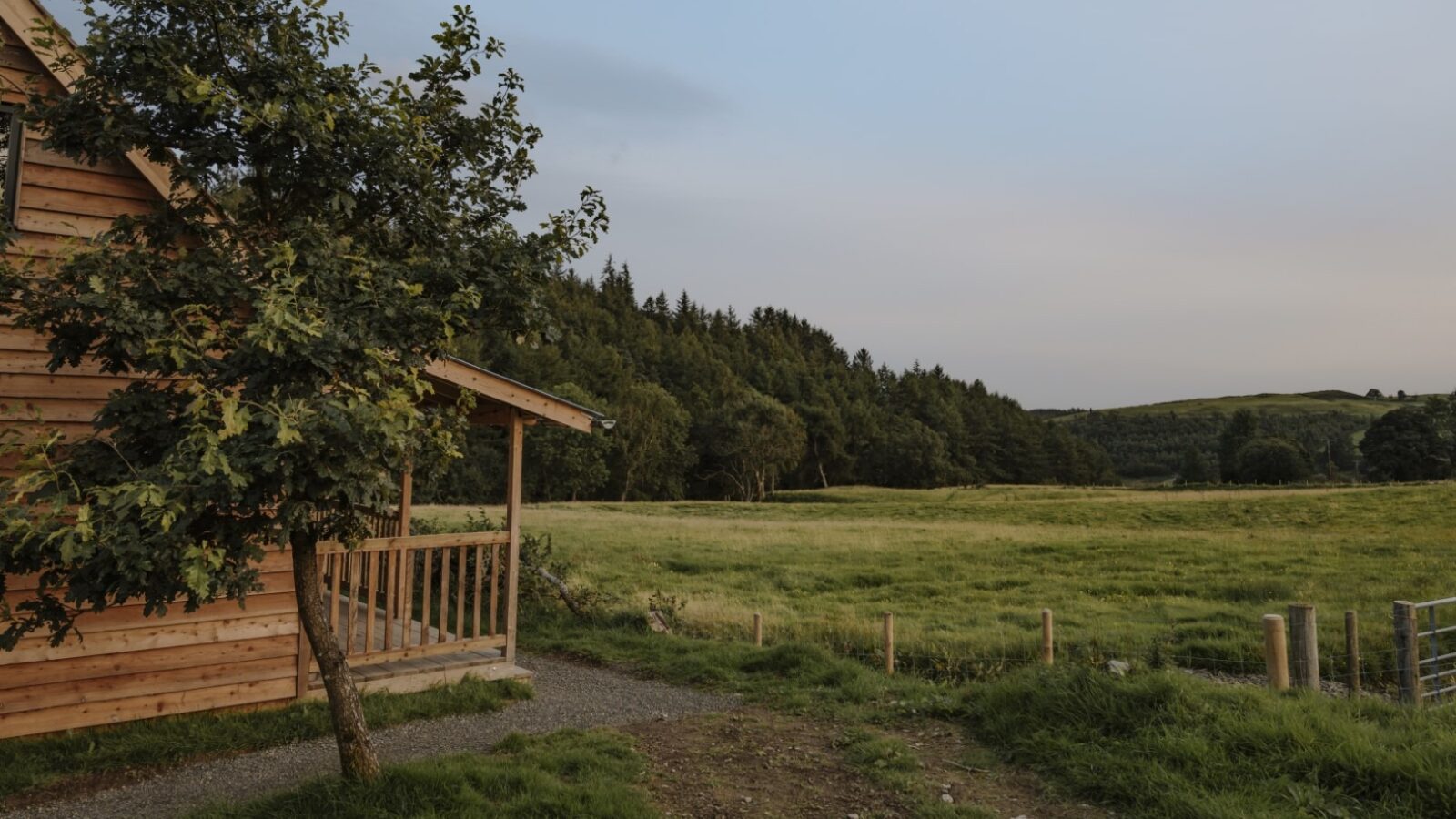 A cozy wooden cabin with a small porch is situated on the edge of a grassy field. In the foreground, a woolly tree grows near the cabin. The background features a forested area and rolling hills under a partly cloudy sky. A dirt path leads to the cabin's entrance.