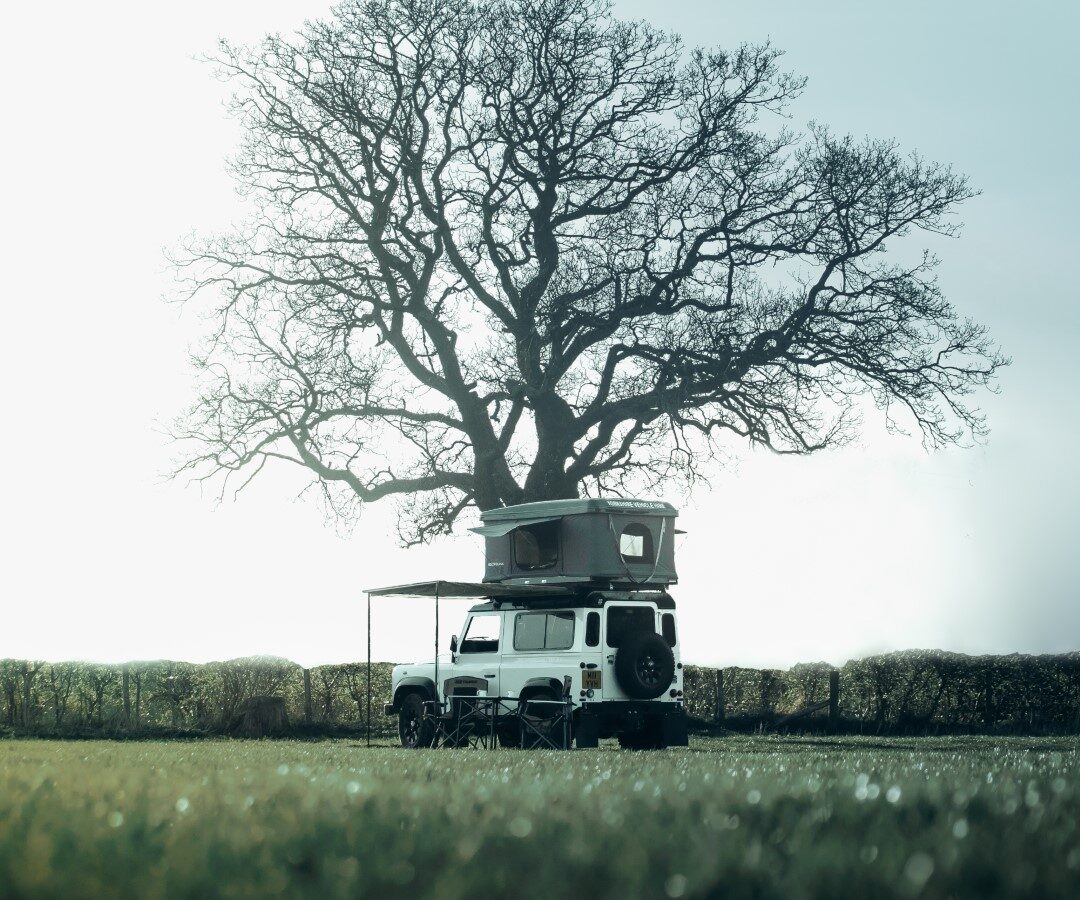 A Defender camper van with a roof tent is parked under a large, leafless tree in a grassy field, perfect for camping adventures.