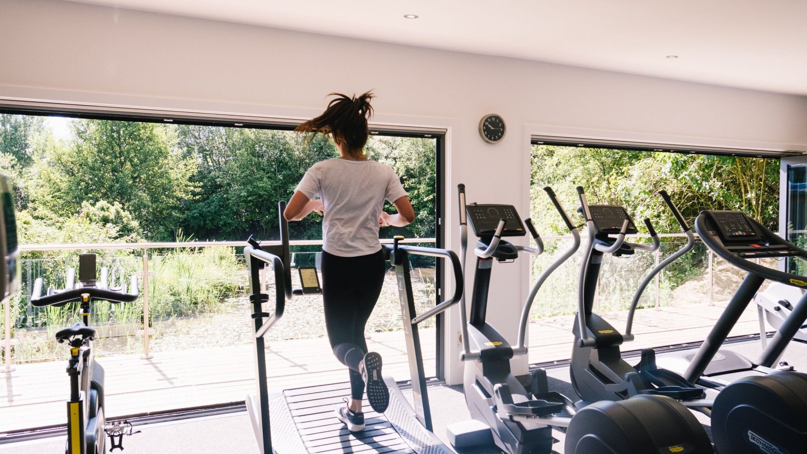 A person jogs on a treadmill in a gym with large windows, catching glimpses of the trees and Lamplight Island outside.