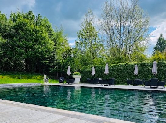 A serene outdoor pool on Lamplight Island, surrounded by trees, with lounge chairs and umbrellas under a partly cloudy sky.