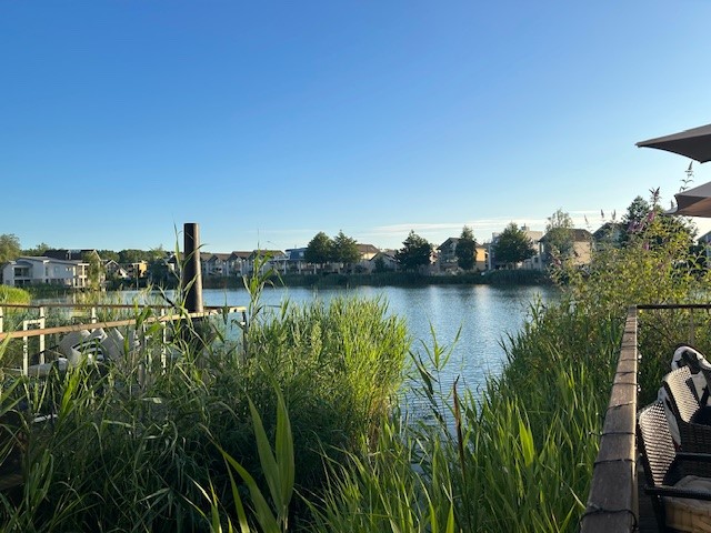 View of a calm lake on Lamplight Island, surrounded by reeds and trees, with houses visible under a clear blue sky.