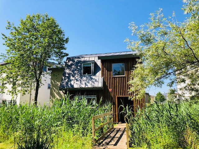 Nestled on Lamplight Island, this wooden house features large windows framing vistas of tall grasses and trees under a blue sky. A narrow wooden bridge leads to the entrance, offering a serene escape.